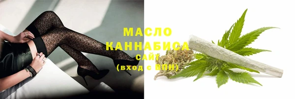 СК Каменка