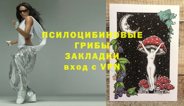 метадон Каменногорск