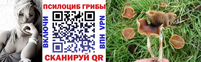 Купить где  Кирово-Чепецк  Галлюциногенные грибы ЛСД 