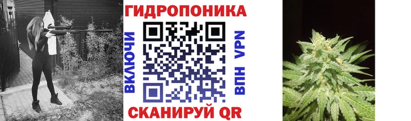 Купить где Кирово-Чепецк Каннабис сатива